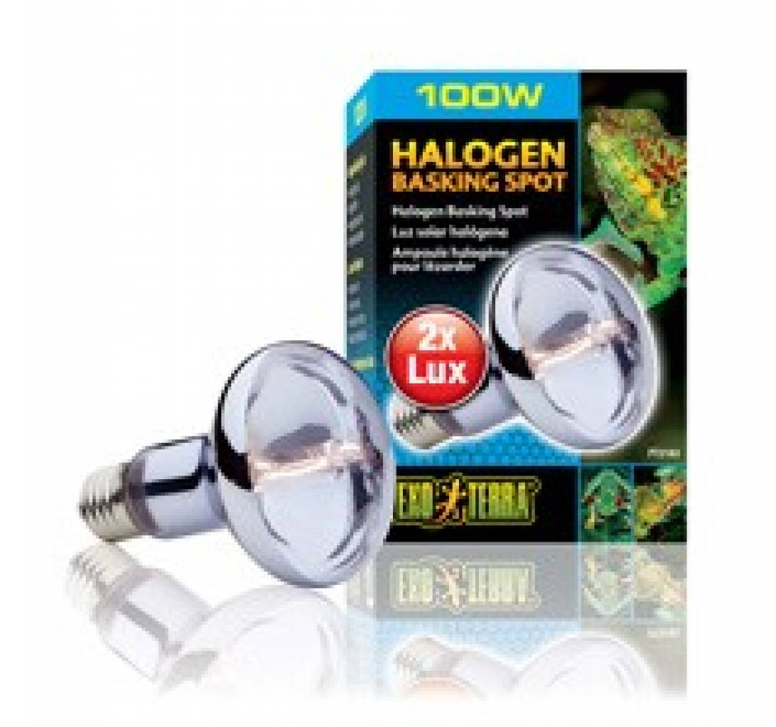 Exo Terra Halogen Basking Spot